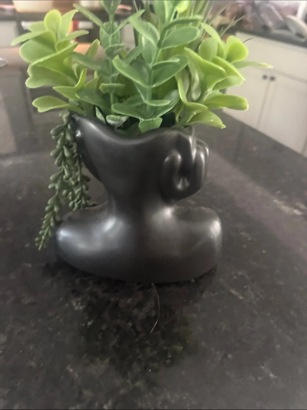 Modern Black Ceramic Face Planter - Stylish Home Accent